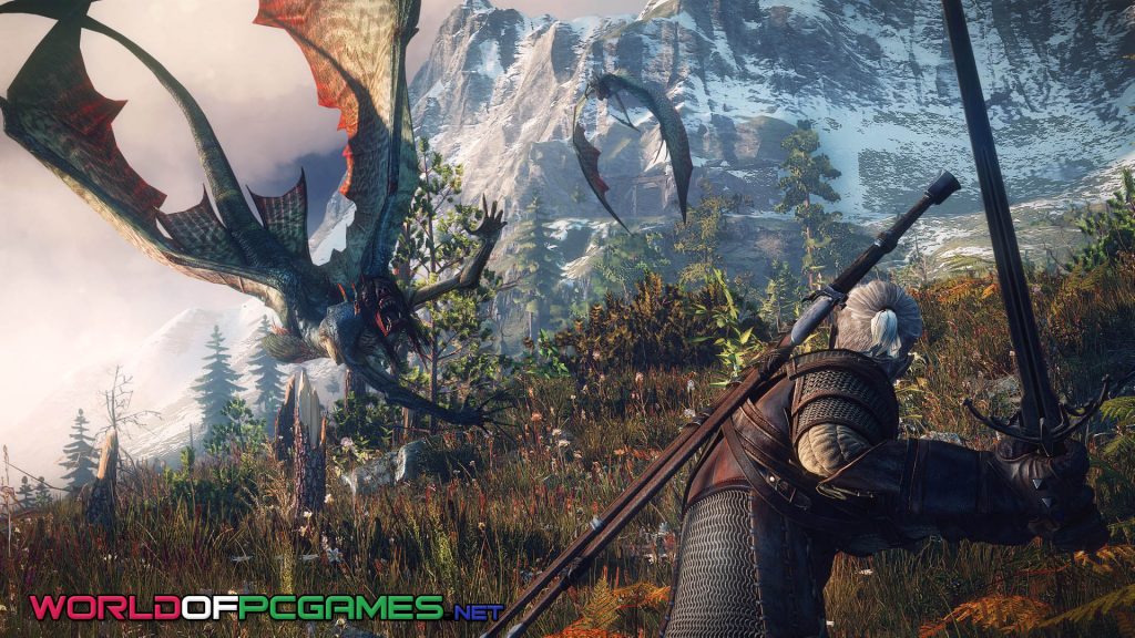 The Witcher 3 Wild Hunt Free Download PC Game By worldofpcgames.com