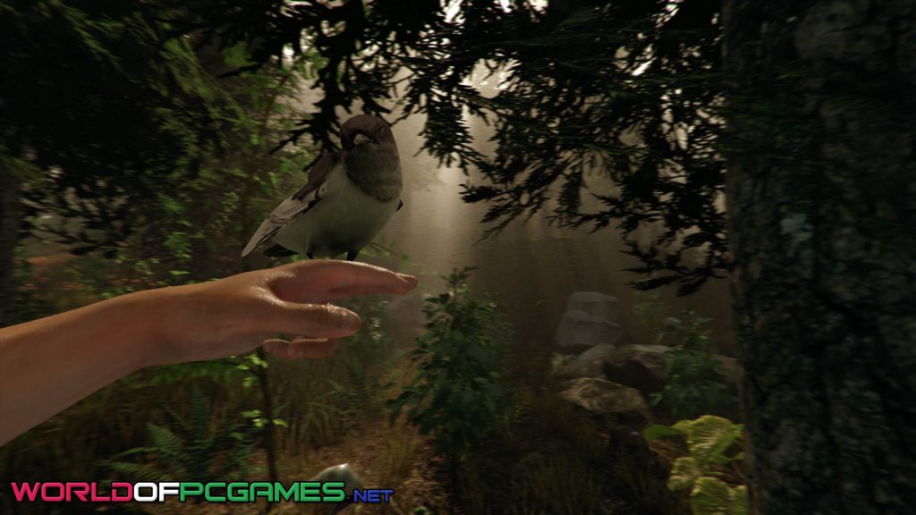 The Forest Free Download By worldofpcgames.com