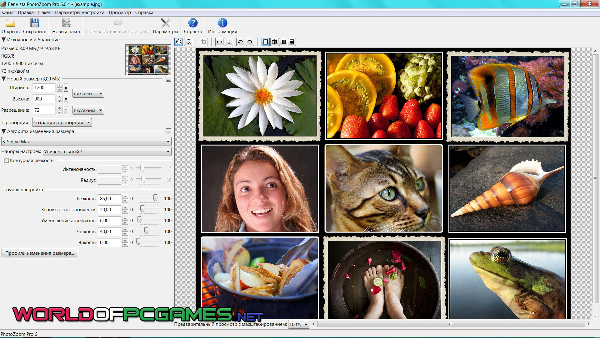 BenVista PhotoZoom Pro Free Download Latest By worldofpcgames.comm