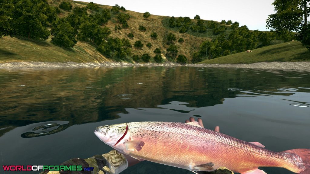 Ultimate Fishing Simulator Free Download BY worldofpcgames.com