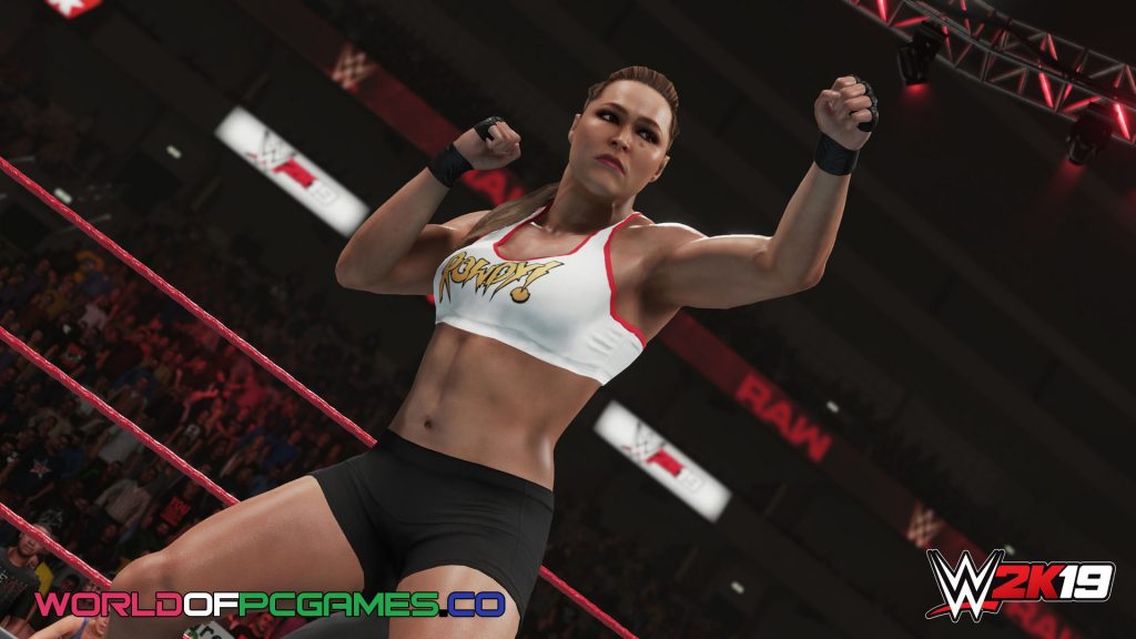 WWE 2K19 Free Download PC Game By worldofpcgames.com