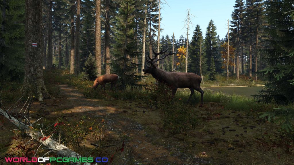 DayZ Free Download PC Game By worldofpcgames.com