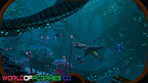 Subnautica Below Zero Free Download PC Game By worldofpcgames.com