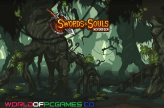 Swords And Souls Neverseen Free Download By worldofpcgames.com