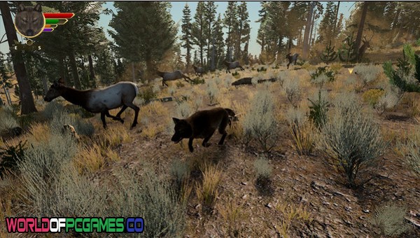 WolfQuest Edition Free Download By worldofpcgames.com