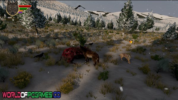 WolfQuest Edition Free Download By worldofpcgames.com