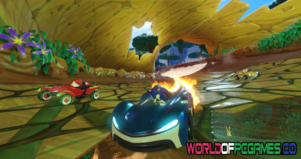 Team Sonic Racing Free Download PC Game By worldofpcgames.com