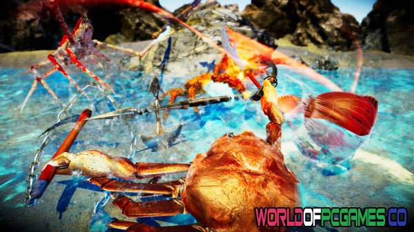 Fight Crab Download PC Game By worldofpcgames.com