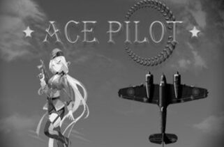 Ace Pilot Free Download By WorldofPcgames