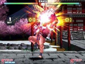 Strip Fighter 5 Chimpocon Edition Free Download By worldofpcgames.comm