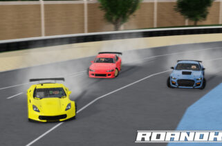 Roanoke, Va Destroy Speedtraps Roblox Scripts