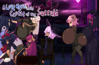 A Lose Hero In The Castle Of The Succubi Free Download By Worldofpcgames