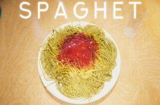 SPAGHET Free Download By Worldofpcgames