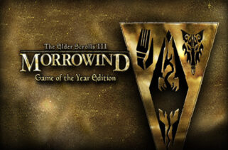 The Elder Scrolls III Morrowind GOTY Free Download By Worldofpcgames