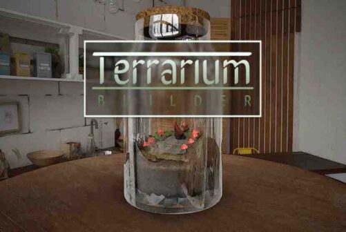 Terrarium Builder Free Download By Worldofpcgames