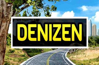 Denizen Free Download By Worldofpcgames