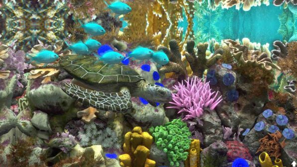 Behind Glass Aquarium Simulator Reviews