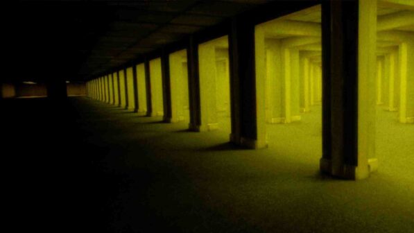 The Backrooms Mass Extinction Reviews