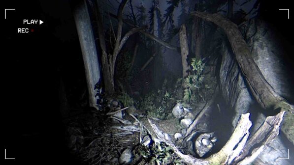 Together After Dark Reviews