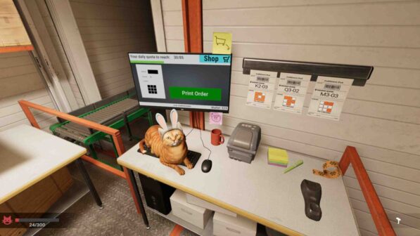 ORDER 13 On PC