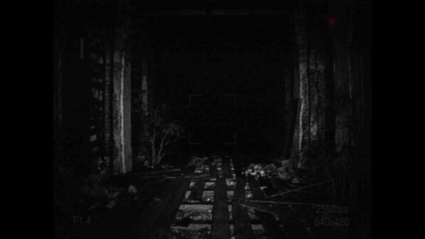 [REC] Desolation Online