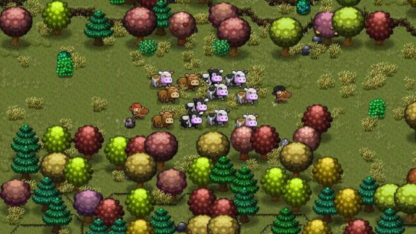 Cattle Country Reviews