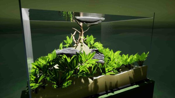 Fish Game GamePlay