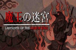 Labyrinth Of The Demon King Pre-Installed Worldofpcgames