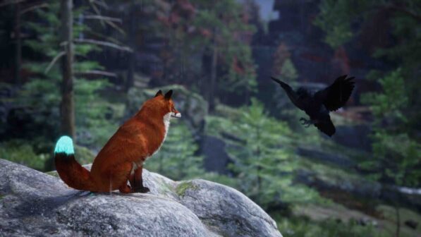Spirit of the North 2 Reviews