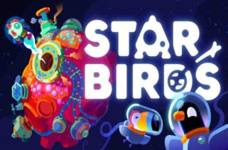 Star Birds Pre-Installed Worldofpcgames