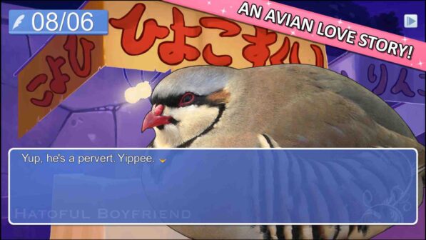 Hatoful Boyfriend GamePlay