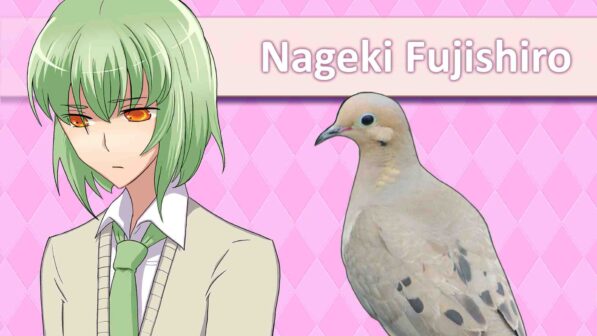 Hatoful Boyfriend Steam Game