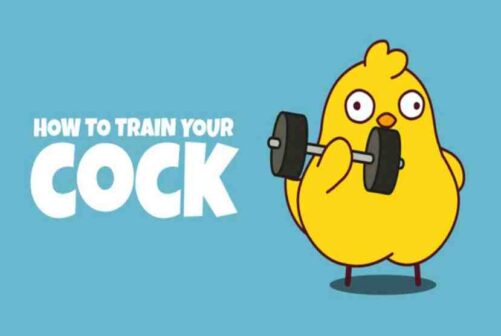 How to Train Your Cock Pre-Installed Worldofpcgames