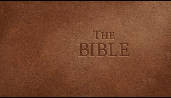 The Bible preinstalled Worldofpcgames