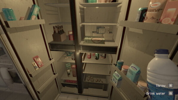 Within of Static Ashburg Rental Steam game