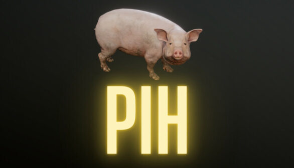 Pih Preinstalled Worldofpcgames