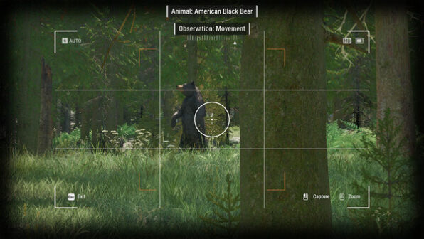 Ranger’s Path National Park Simulator Steam game