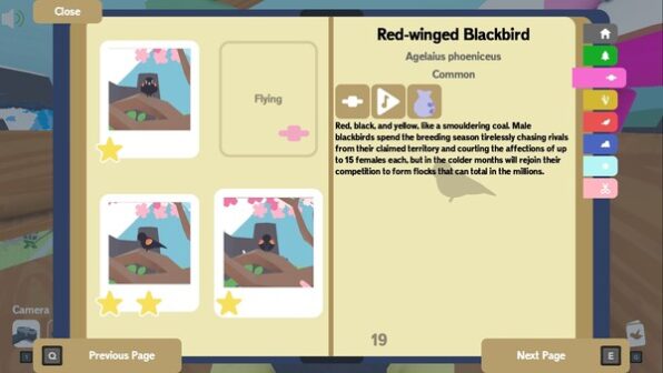 Flock Around on pc