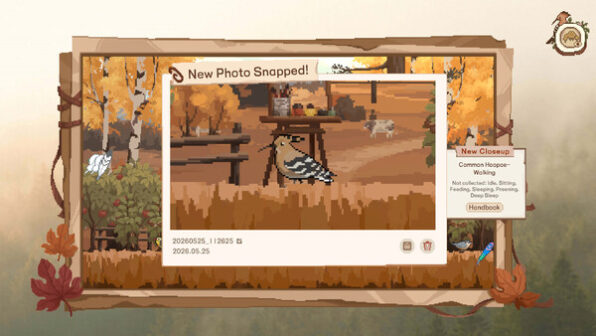 Birdwatching Notebook Steam game