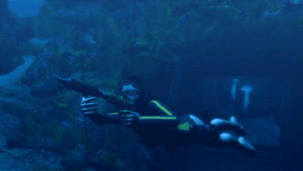 Tomb Raider: Underworld Gameplay