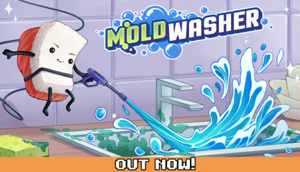 Moldwasher PC Game