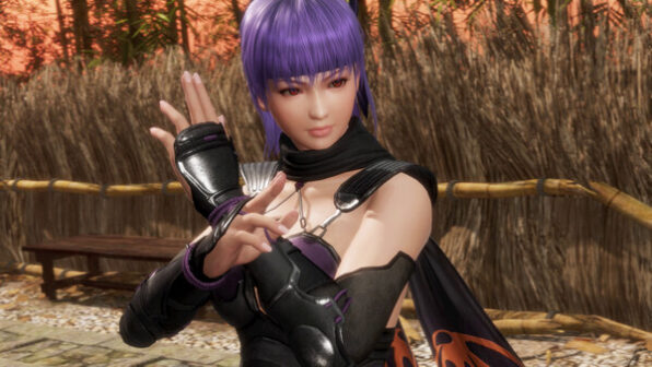 DEAD OR ALIVE 6 Last Round Reviews